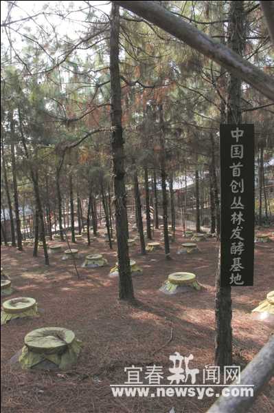 “酿”一个浓香的4A景区