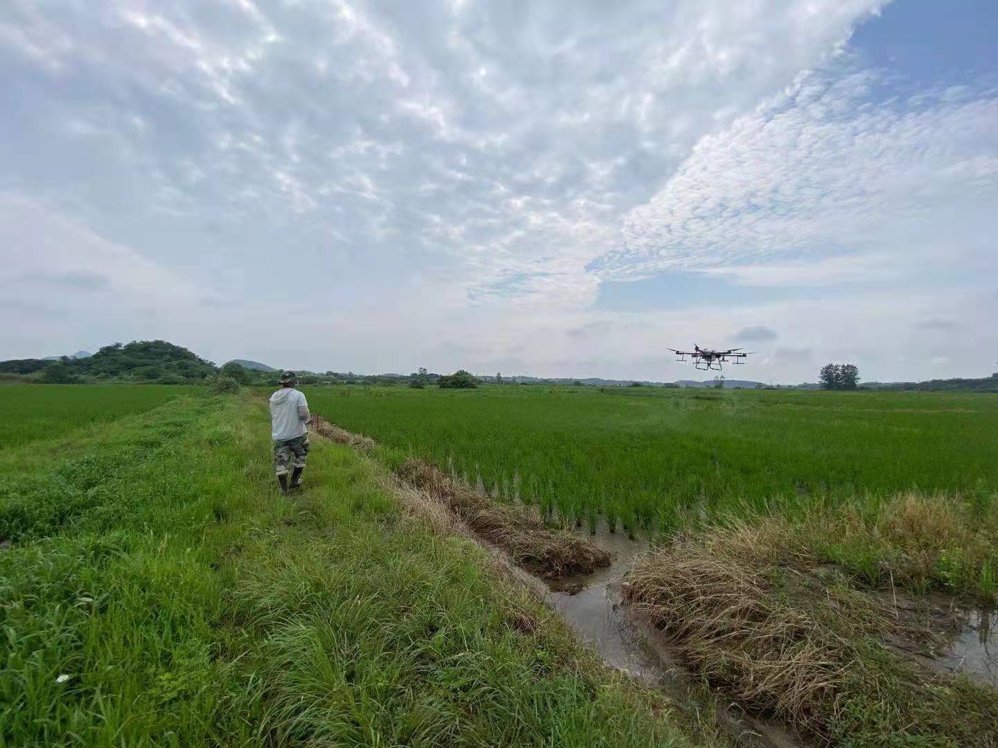 蒙山镇：无人机打药助力早稻生产