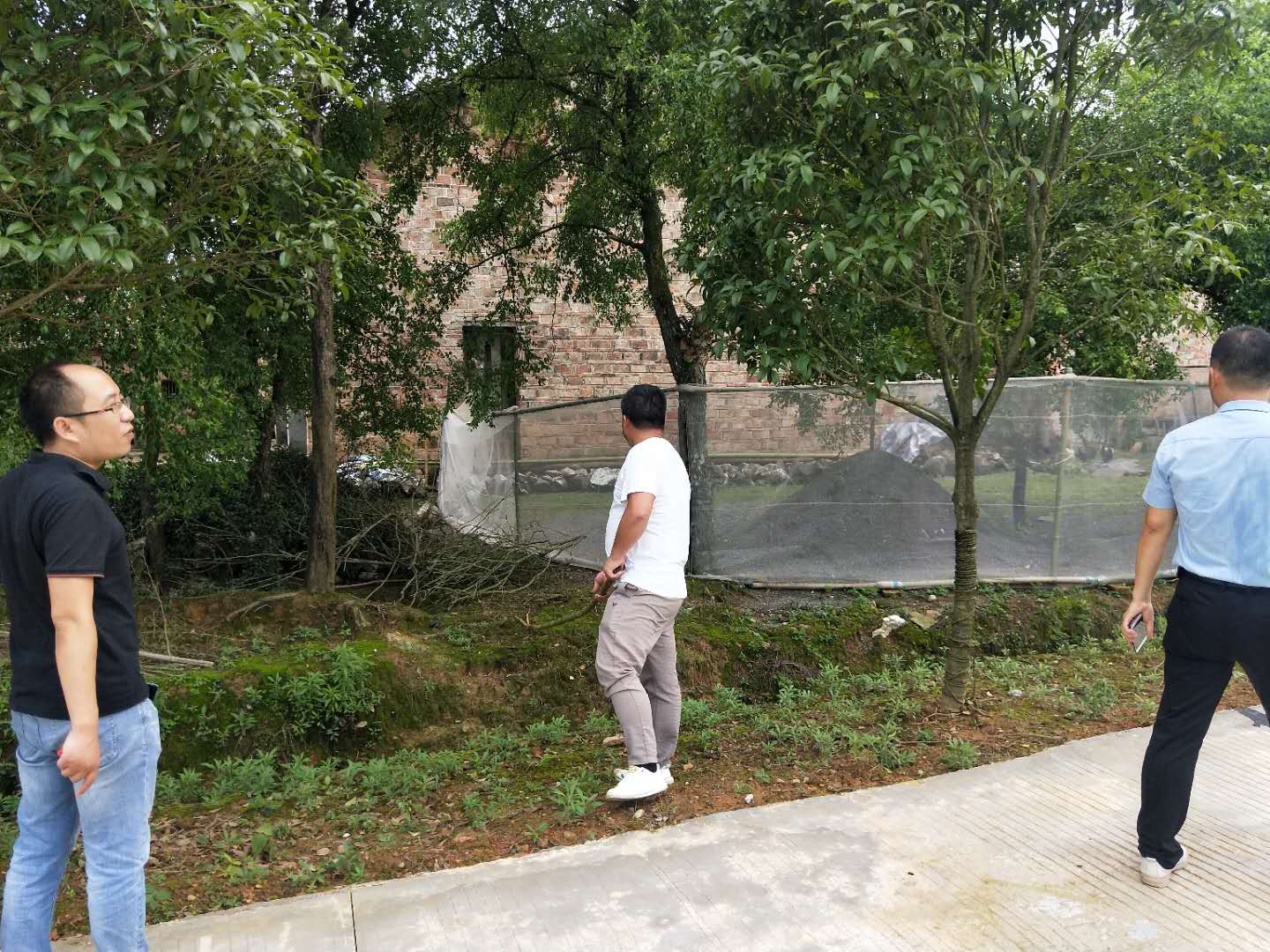 蒙山镇：畜禽圈养让村庄更干净