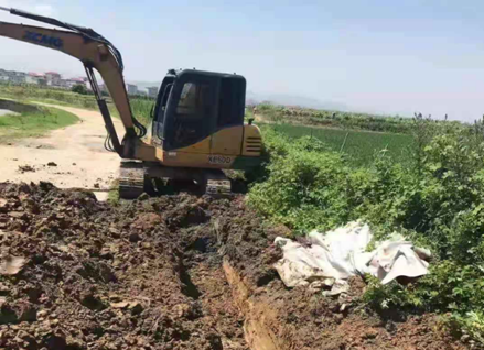 锦江镇：推进新农村建设 提升农民幸福感