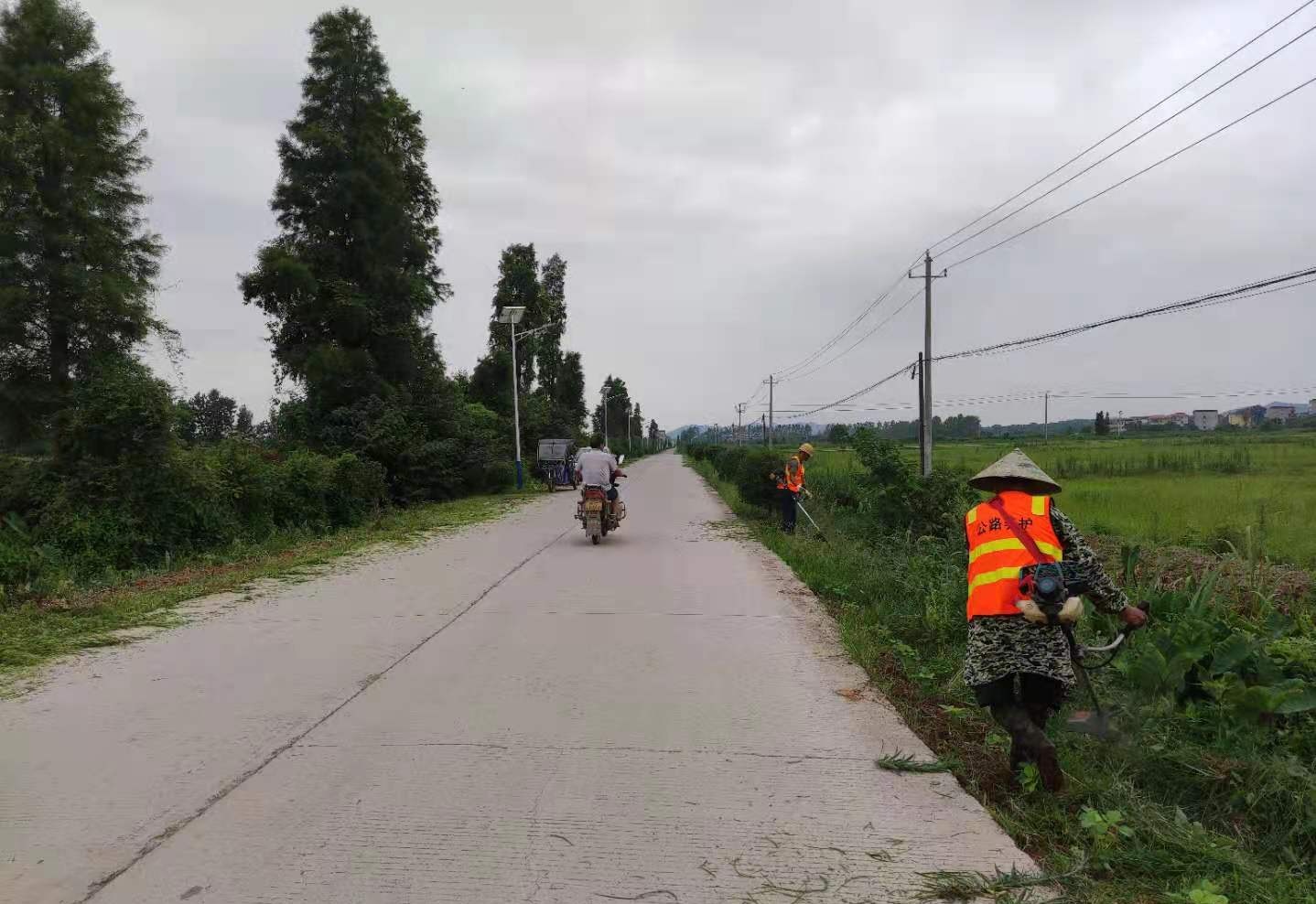 芦洲乡：清理道路两侧杂草 确保交通安全